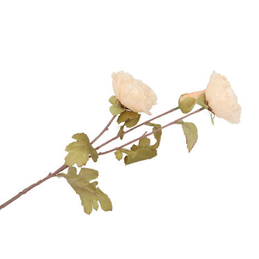 Klaproos groen | 76 CM