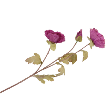 Klaproos groen | 76 CM