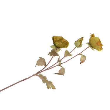 Klaproos groen | 76 CM