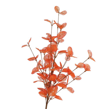 Oranje eucalyptus set | 72 CM