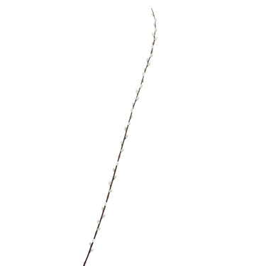 Wilgentak met knop | 152 CM