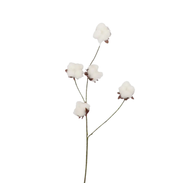 Zijden katoenplant | 83 cm