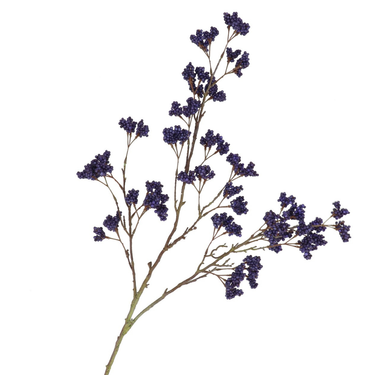 Bessentak oranje | 108 CM