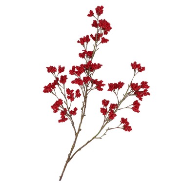 bessentak rood, kunsttak