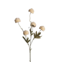 zijden bloem pompom beige 
